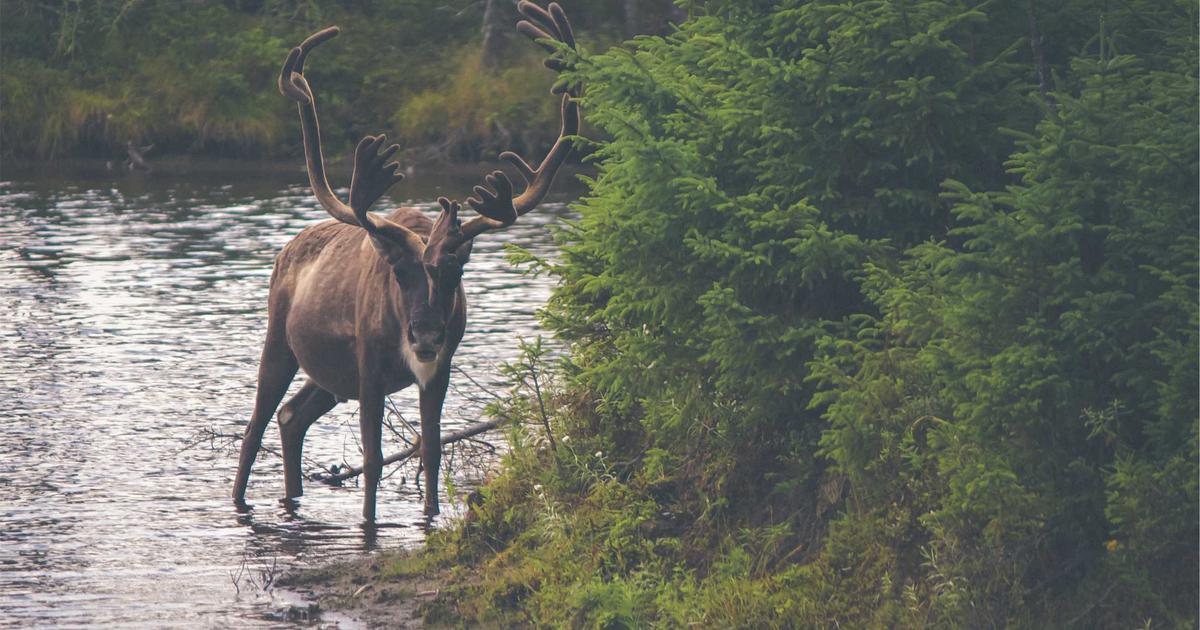 【2026年】配当金生活の始め方｜月3万円の不労所得を作る方法