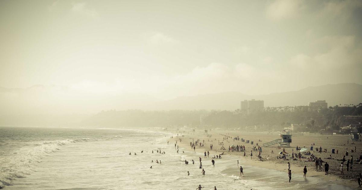 【2026年】保険の見直し方｜独身・20代は最小限でOK