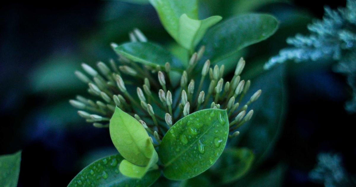 【2026年】ポイ活入門｜年間5万ポイント貯める方法