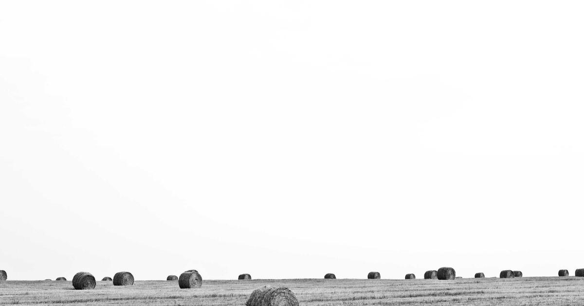 【2026年】楽天経済圏 完全ガイド｜ポイント最大化の方法